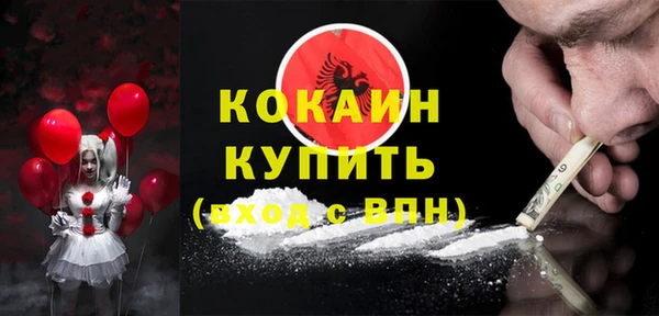 крисы Новодвинск