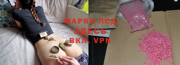 крисы Новодвинск