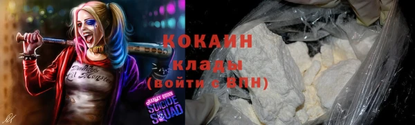крисы Новодвинск