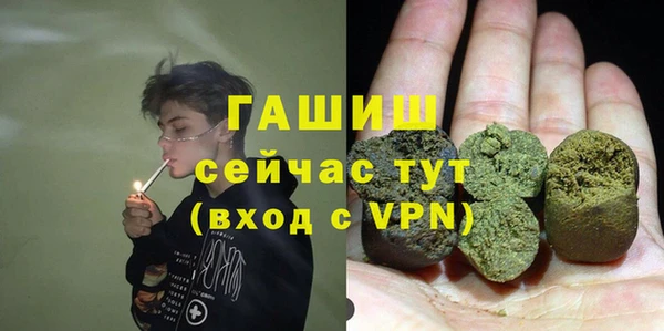 крисы Новодвинск