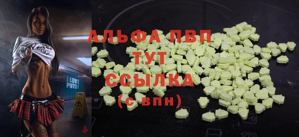 крисы Новодвинск