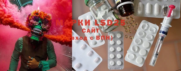 крисы Новодвинск