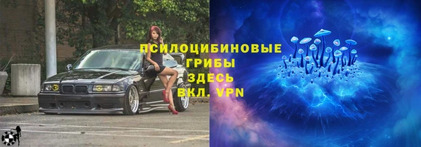 крисы Новодвинск